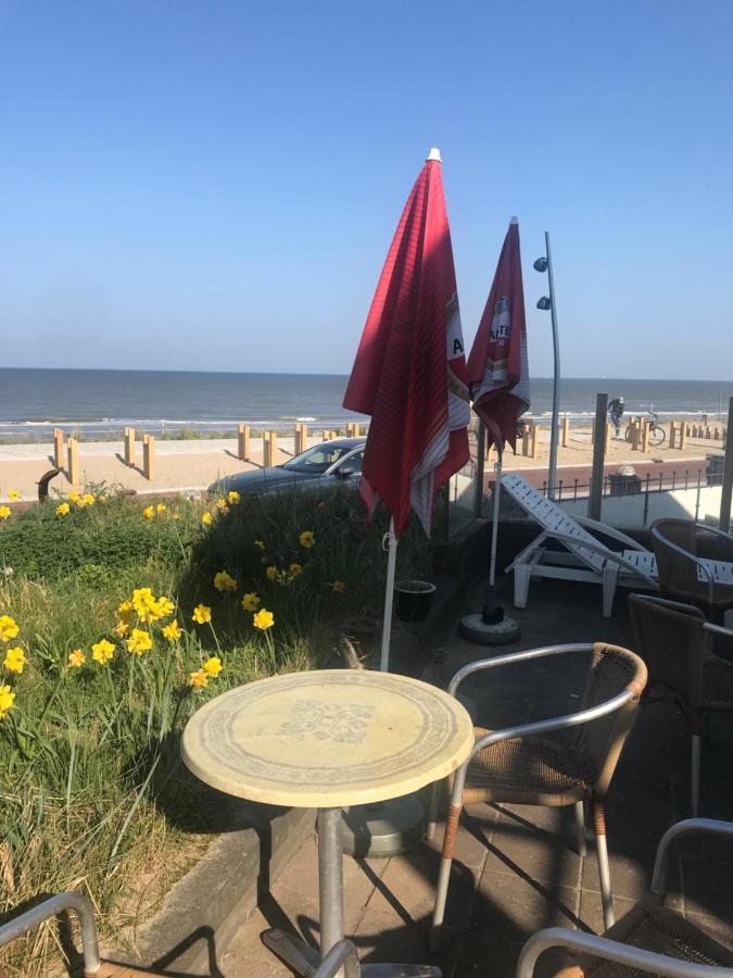 Chalet For 2 At The Beach Zandvoort Eksteriør bilde
